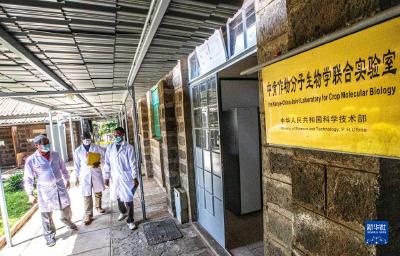 走进中肯作物分子生物学联合实验室