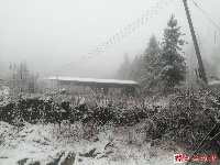 图集丨通城今冬第一场雪