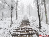 图集丨通城今冬第一场雪