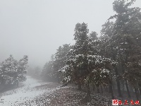 图集丨通城今冬第一场雪