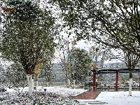 图集丨通城城区也下雪啦~