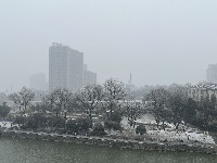 图集丨通城城区也下雪啦~