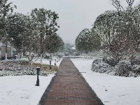 图集丨通城城区也下雪啦~