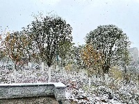 图集丨通城城区也下雪啦~