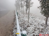 图集丨通城今冬第一场雪