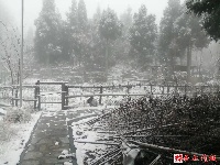 图集丨通城今冬第一场雪