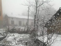 图集丨通城今冬第一场雪