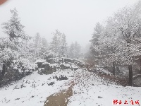 图集丨通城今冬第一场雪