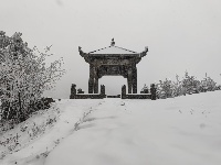 图集丨通城今冬第一场雪