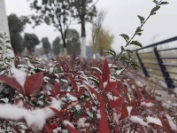 图集丨通城城区也下雪啦~