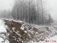 图集丨通城今冬第一场雪