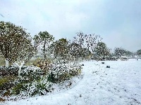 图集丨通城城区也下雪啦~