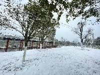 图集丨通城城区也下雪啦~