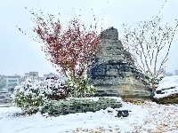 图集丨通城城区也下雪啦~