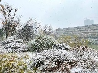 图集丨通城城区也下雪啦~