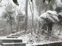 图集丨通城今冬第一场雪