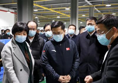市拉练检查团来通城检查项目建设