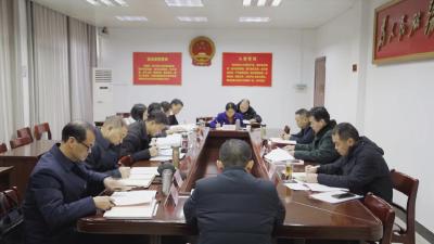 通城县政府党组召开2021年度党史学习教育专题民主生活会