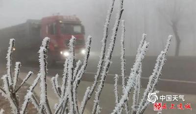 2022年第一股大范围冷空气来袭！湖北近来阳光稀缺