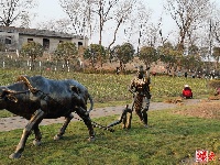 图集丨隽水河湿地公园即将开园 秀美风光等你来看！