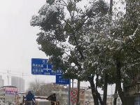 刷屏！风雪里这些“冻“人“色彩”温暖一座城