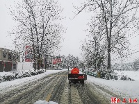 刷屏！风雪里这些“冻“人“色彩”温暖一座城