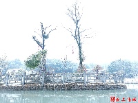 图集丨五里善源谷雪景