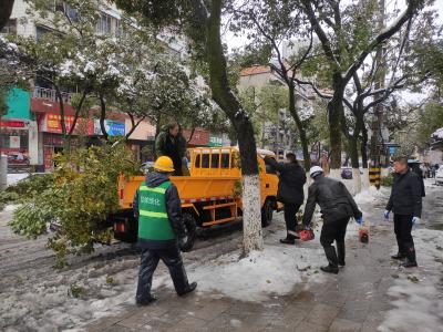 以雪为令  浴“雪”奋战！ 通城县园林局全力除雪护绿