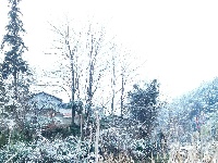图集丨五里善源谷雪景