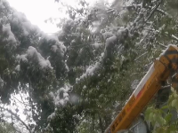刷屏！风雪里这些“冻“人“色彩”温暖一座城