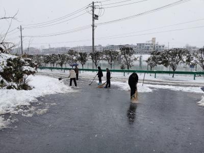 通城县委党校：新年开工第一天 扫雪除冰暖人心