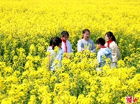 图集丨田间当课堂 师生享春光 