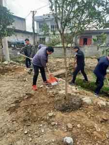 沙堆镇打响人居环境整治攻坚行动“发令枪”