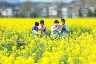 通城： 田间当课堂 师生享春光