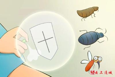 夏天到了，如何减少蚊、蝇等病媒生物的侵扰？