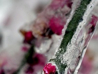 图集丨梅苑之春