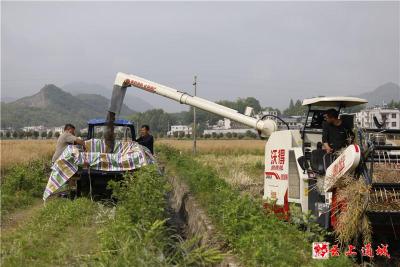 【我们的新时代】湖北通城：农村新天地 卖“油”又卖“游”