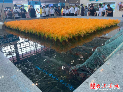湖北省粮食局持续支持潜江粮食和虾稻产业发展