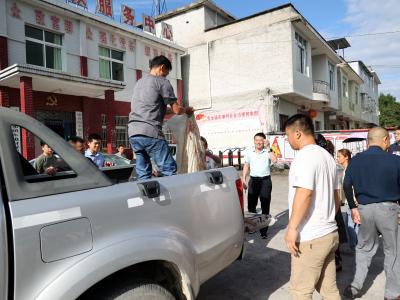 【下基层 察民情 解民忧 暖民心】猪仔送上门 致富多条路