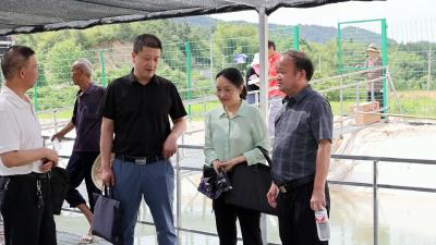 【下基层 察民情 解民忧 暖民心】马港镇推进联农带农帮扶项目