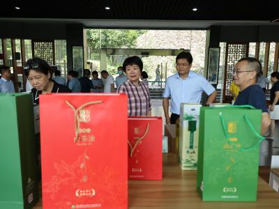 沙洋县党政代表团来通城考察交流