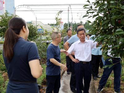 郭跃进来通城调研油茶产业发展