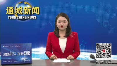 杨修伟到县信访局接访