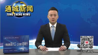 市委第三交叉巡察组进驻通城县教育局