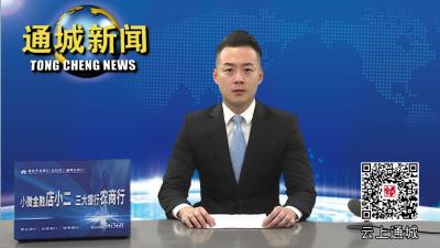 通城：鼓足干劲  持之以恒推动油茶产业做大做强