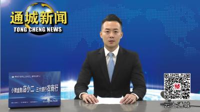 通城县图书馆开展全民阅读进学校活动