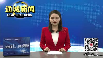 全市基层党建拉练观摩团来通城检查党建引领城市基层治理工作 