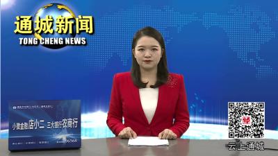 市委党史学习教育领导小组办公室来通城调研共同缔造活动试点工作 