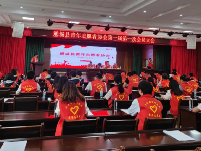 通城县青年志愿者协会成立
