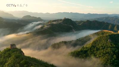 V视丨时代楷模影视作品《美好中国年 建功新时代》